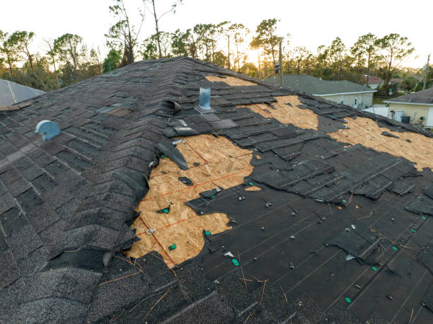 Roof Insulation Installation in Beulaville, NC